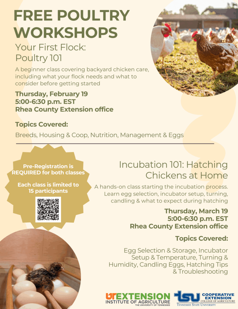 Free poultry workshops