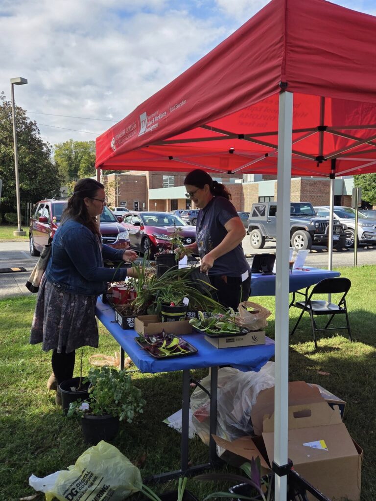 Master Gardener plant sale